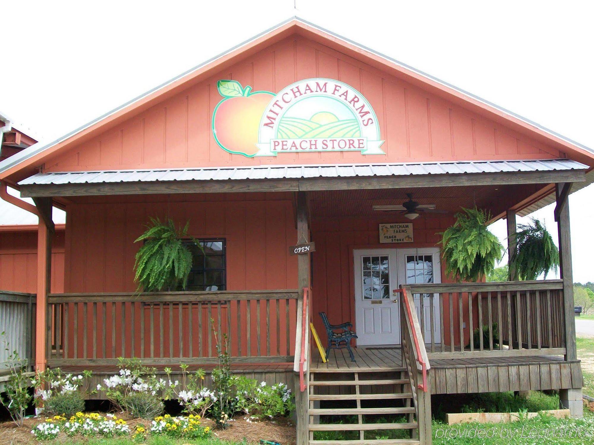 拉斯顿汉普顿酒店 便利设施 照片